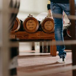 Il profumo del mosto cotto 2022, visite all'acetaia comunale - Foto Matteo Luppi