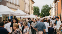 Fiera di Soliera 2024, bancarelle - Foto Matteo Luppi